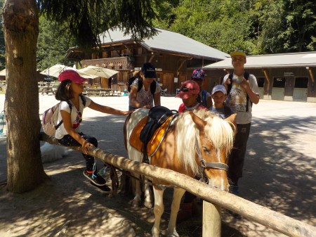 Photo séjour TOUS AU GALOP !