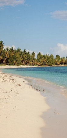 Photo séjour République Dominicaine La perle des Caraïbes