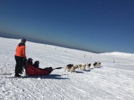 Photo séjour La vie de Musher