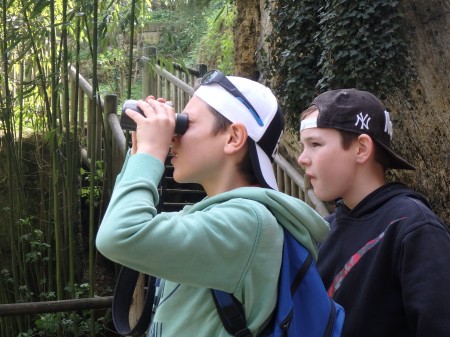 Photo séjour Futuroscope & Vallée des Singes